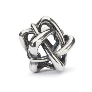 Trollbeads TAGBE-20198 Kraal Omarm elkaar zilver