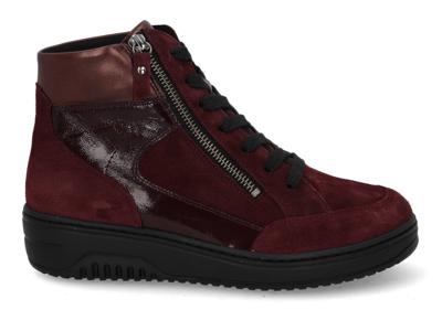 Hartjes Soul Boot 172.1707 aubergine aubergine maat 40.5