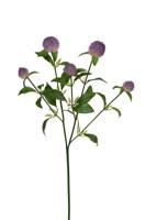 Distel l65cm lila kunstbloem Louis Maes - Louis maes