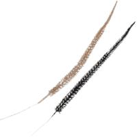 Daan Kromhout Kunsttak shine penni zwart/champagnekleurig 52 cm set van 12 | 8 stuks