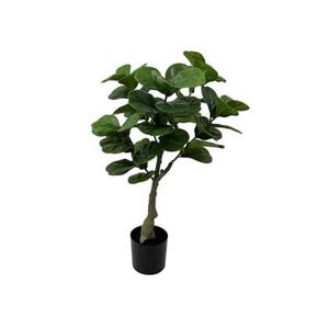 present time - Artificial Plant Ficus