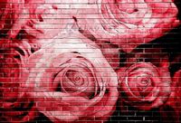 Karo-art Schilderij - Rode rozen op bakstenen muur , Multikleur , 3 maten , Premium print
