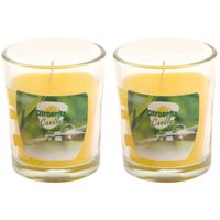 Citronella kaars - 4x - in transparant glas - 5 x 6 cm - citrusgeur