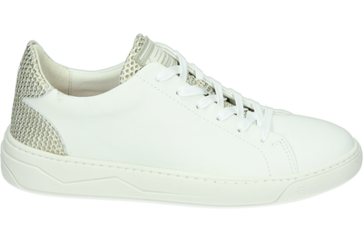 Floris van Bommel SFW-10063-60-02 - alle