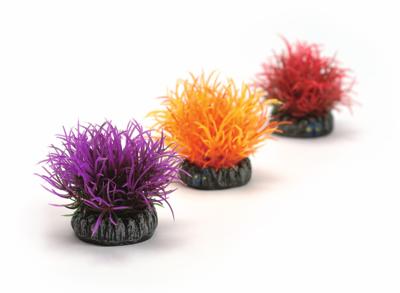 Decobol set 3 - Biorb