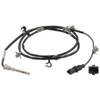 Uitlaatgastemperatuursensor 100839