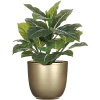 Mica Decorations Kunstplant groen - 49 cm - in bloempot - goud