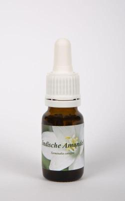 Star Remedies Indische amandel 10 Milliliter