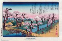 Poster Cherry Trees at Koganei Utagawa Hiroshige 91,5x61cm Poster Cherry Trees at Koganei Utagawa Hiroshige 91,5x61cm