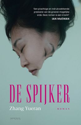 De spijker - Zhang Yueran - ebook