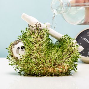 Sloth Planter