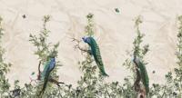 Muance Muance Fotobehang Peacock Forest - MU13040