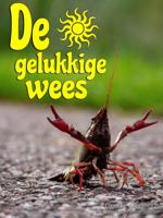 De gelukkige wees (Paperback)