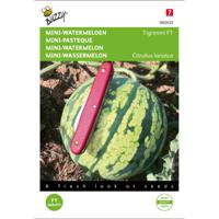 Buzzy - Mini-Watermeloen Tigrimini - thumbnail