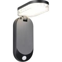 LED Tuinverlichting - Trion Elen - Wandlamp Buitenlamp - 1 Lichtpunt van 3 Watt - Natuurlijk Wit 4000K - Schemeringsensor - Bewegingssensor - IP44 - Zwart - Kunststof
