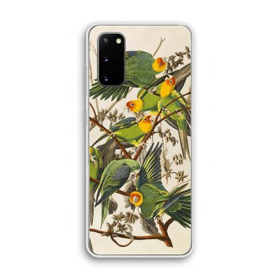 Carolinaparkiet: Samsung Galaxy S20 Transparant Hoesje