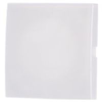 1576 C-914  - Cover plate for Blind plate white 1576 C-914
