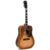 Sigma Guitars DM-SG5 elektrisch-akoestische westerngitaar met gig bag