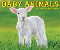 Baby Dieren Scheurkalender 2026 Boxed