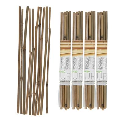 Gerimport Plantenstokken - 40x stuks - 30 cm - plantensteun / tonkinstokken