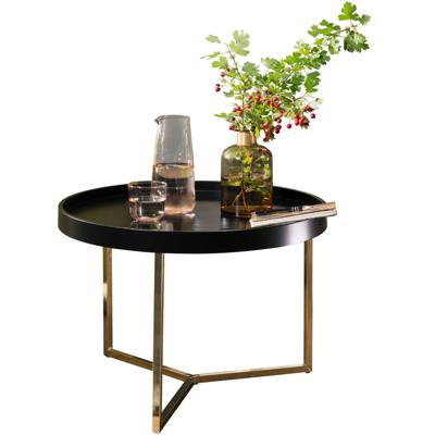 Salontafel Ericview - WL5M763