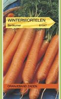 Winterwortel