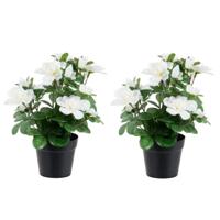 Louis Maes Azalea Kunstplant - 2x - wit - in binnenpot - H25 cm - kunstbloemen