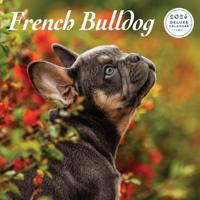 Franse Bulldog Kalender 2026 Deluxe