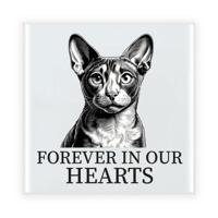 Herdenking cadeau tegel kattenliefhebber - Cornish Rex kat/poes - zwart/wit - keramiek - 15 cm Herdenking cadeau tegel kattenliefhebber - Cornish Rex kat/poes - zwart/wit - keramiek - 15 cm