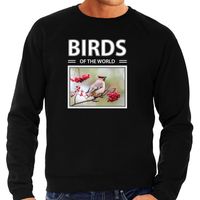 Pestvogels sweater / trui met dieren foto birds of the world zwart voor heren