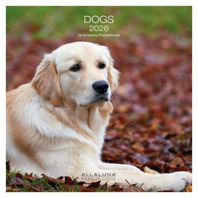 Honden Kalender 2026