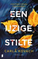 Een ijzige stilte (Paperback) Een ijzige stilte (Paperback)