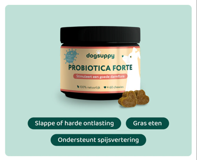 Dogsuppy Dogsuppy probiotica forte insect 60st