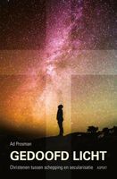Gedoofd licht - Ad Prosman - ebook