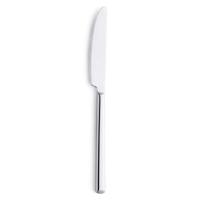 Messen Set Amefa Metropole Metaal 21 cm 12 Stuks