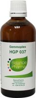 HGP037 Gemmoplex wrat lymf