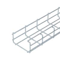 OBO Bettermann 6017436 Rastergoot (l x b x h) 3000 x 100.00 x 50.00 mm 1 stuk(s)