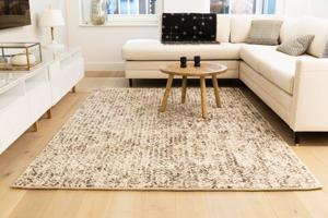 MOMO Rugs - Rainbow Dove - 200x300 cm Vloerkleed