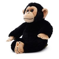 Simba national geographic knuffel chimpanzee, 25cm