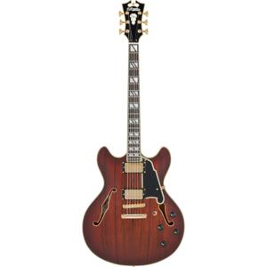 D'Angelico Deluxe DC Stopbar Satin Brown Burst semi-akoestische gitaar met koffer