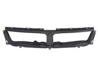 Radiateurgrille 6502076825991P