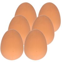 10x Nep kippen eieren bruin   -