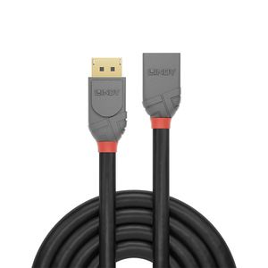 Lindy 36495 DisplayPort kabel 0,5 m Zwart