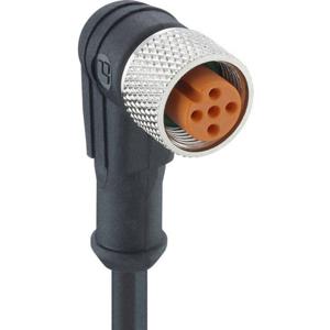 Lutronic 1073 Sensor/actuator connector, geassembleerd M12 Aantal polen (sensoren): 4 Koppeling, haaks 5.00 m 1 stuk(s)
