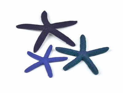 Zeester set 3 blauw - Biorb