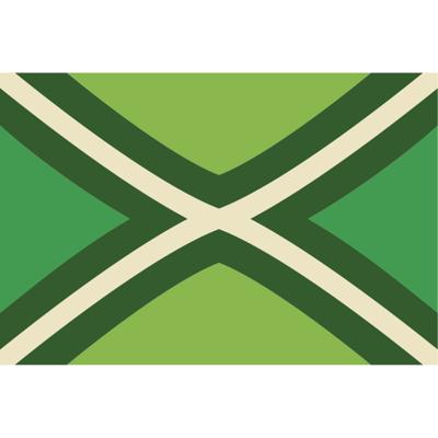 Vlag Achterhoek - 90 x 150 cm - Achterhoekse Vlag