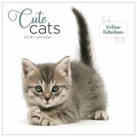 Schattige Katten Kalender 2026