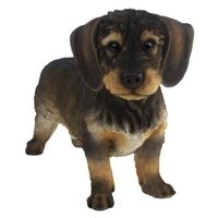 Decoratie dieren beeld ruwharige teckel hond donkerbruin 29 cm - thumbnail