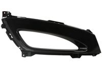 Ventilatiegrille, bumper 6502073221916P