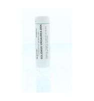 Solidago virgaurea 200K